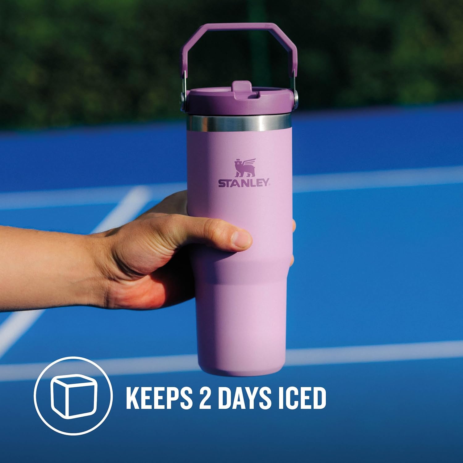 Stanley IceFlow Hydration Companion