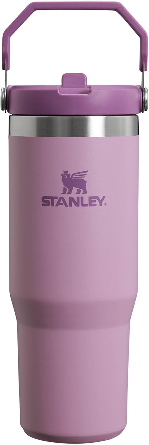 Stanley IceFlow Hydration Companion